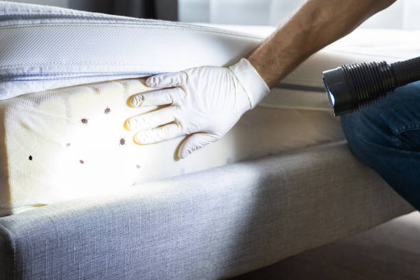 Best Pest Removal Services  in Syracuse, NE