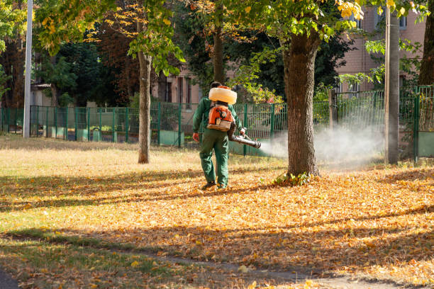 Best Emergency Pest Control  in Syracuse, NE